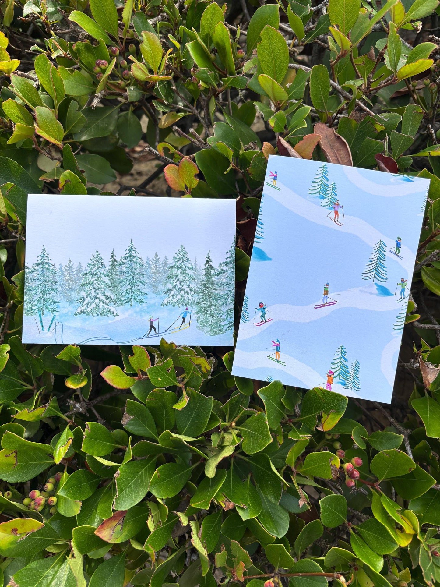 Winter Skiers Greeting Card Set: Alpine & Nordic Designs (5x7)