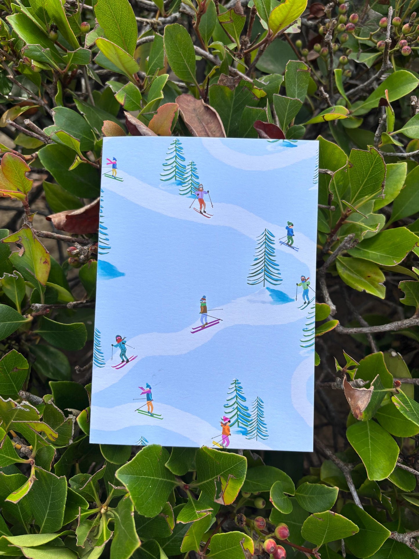 Winter Skiers Greeting Card Set: Alpine & Nordic Designs (5x7)