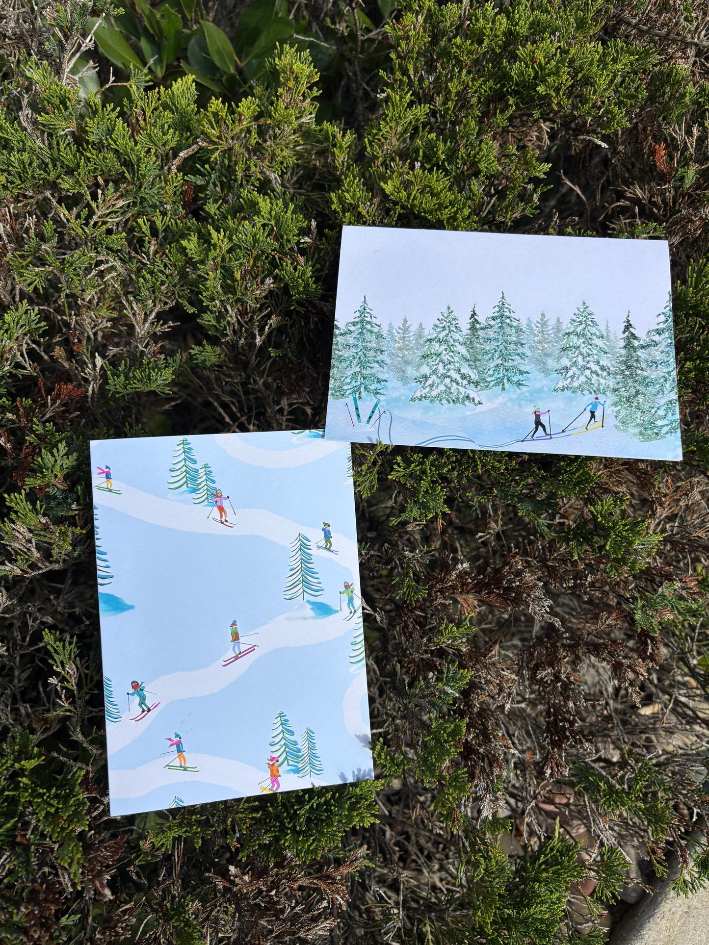 Winter Skiers Greeting Card Set: Alpine & Nordic Designs (5x7)