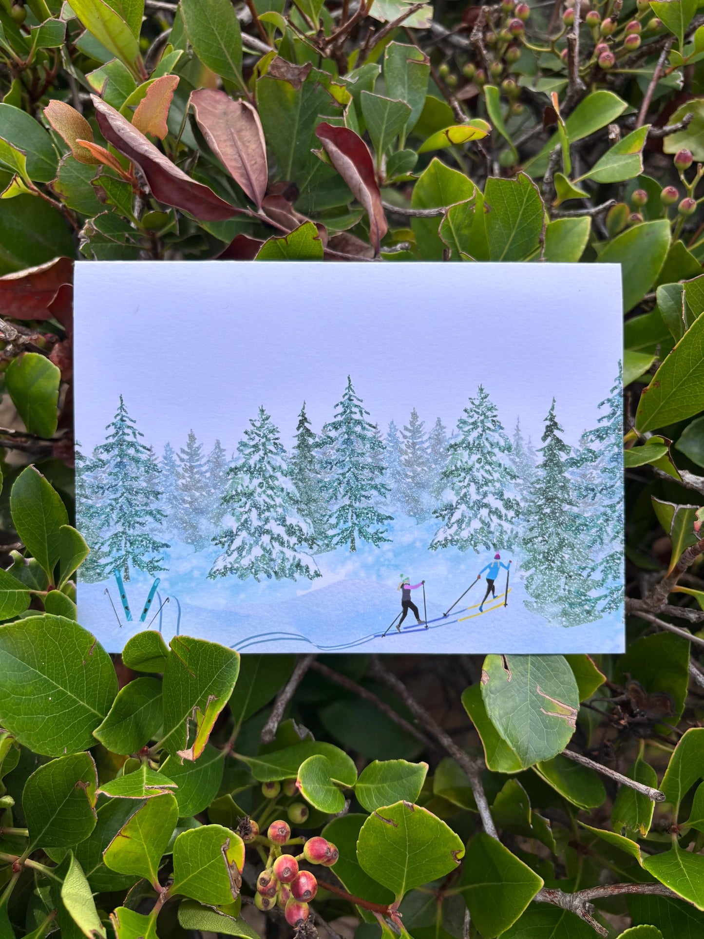 Winter Skiers Greeting Card Set: Alpine & Nordic Designs (5x7)